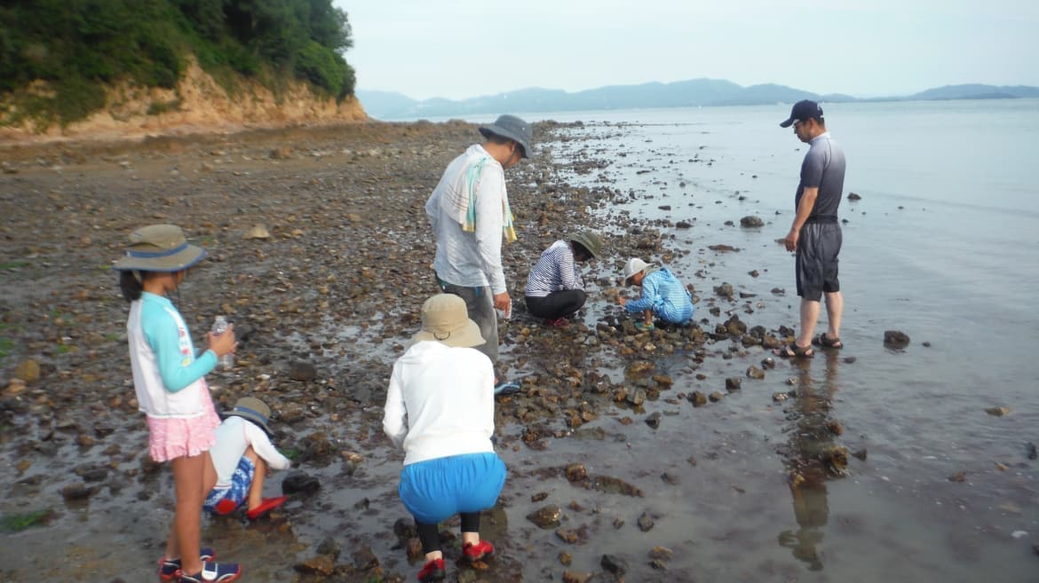 岡山県瀬戸内市牛窓町のペンションくろしお丸の磯遊び